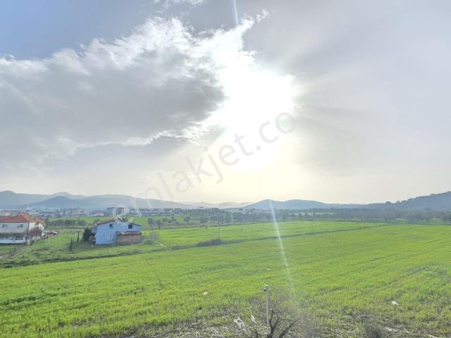 Burhaniye, Balikesir içerisinde satılık mülk
