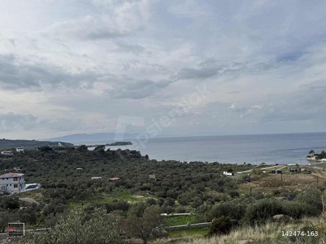 Dikili, İzmir içerisinde satılık mülk