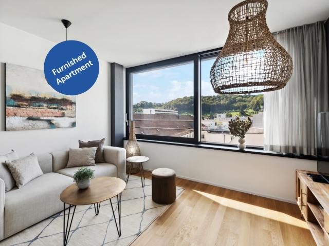 Wohnung mieten in Baden, Aargau