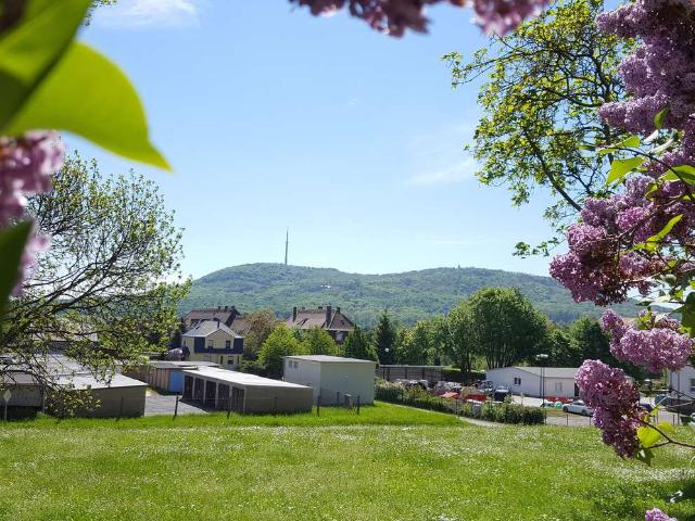 Wohnung mieten in Löbau-Nord, Löbau