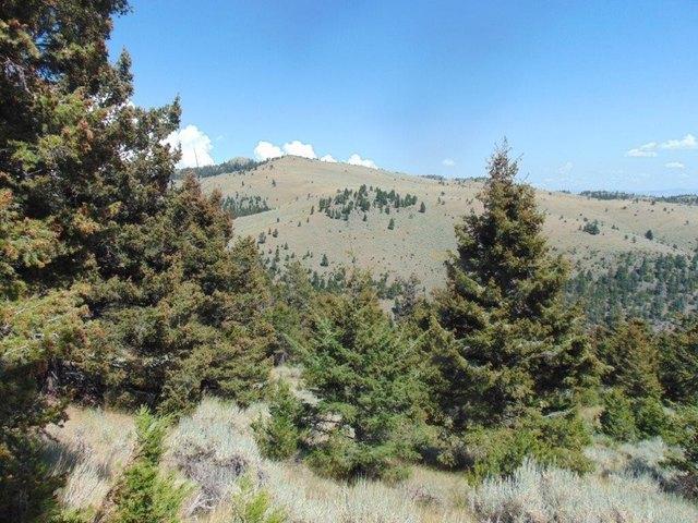 Land for sale in Broadwater, Montana