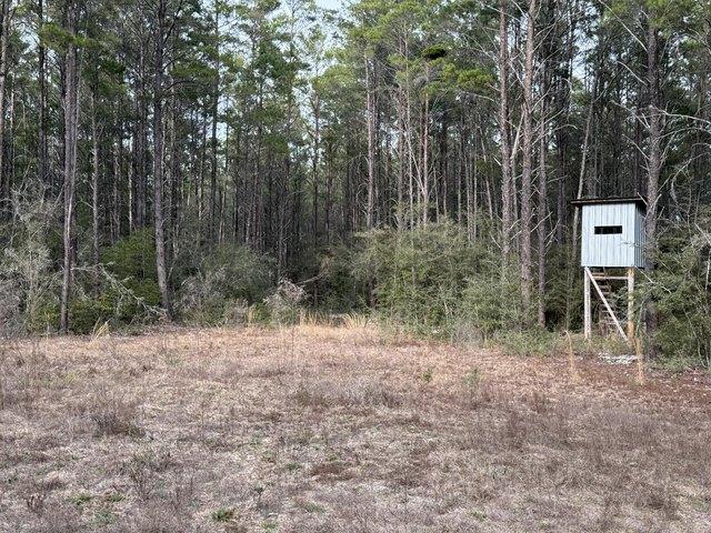 Land for sale in Crestview, Okaloosa County