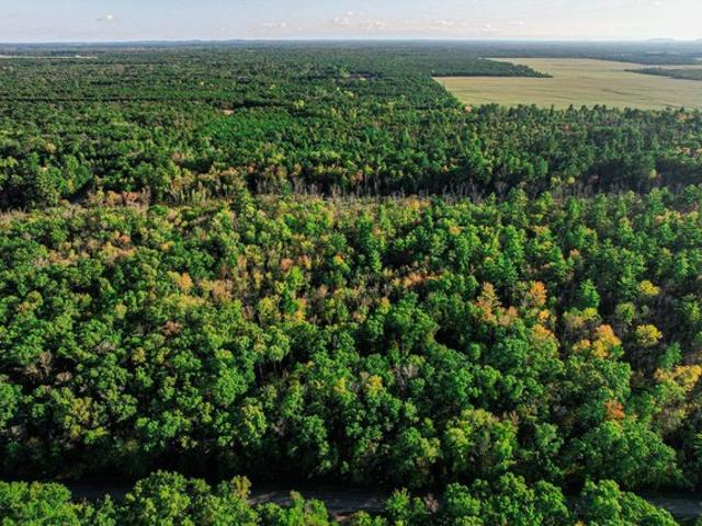 Land for sale in Hancock, Wisconsin