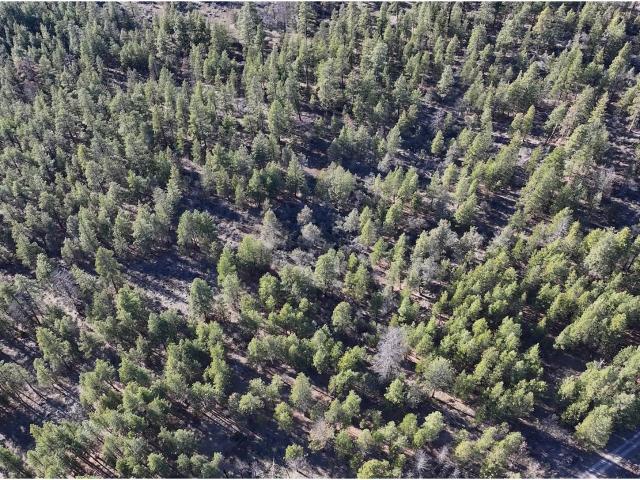 Land for sale in Oregonia