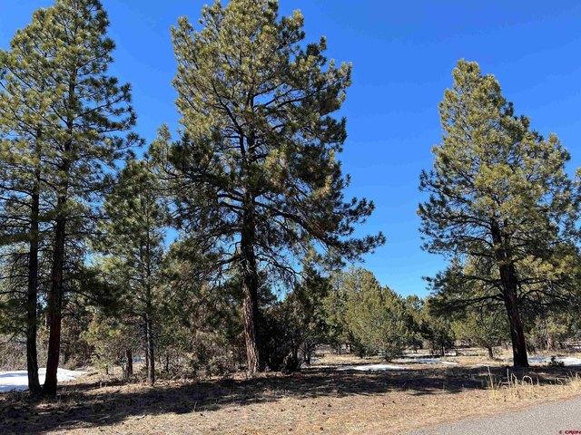 Land for sale in Ridgway, Colorado