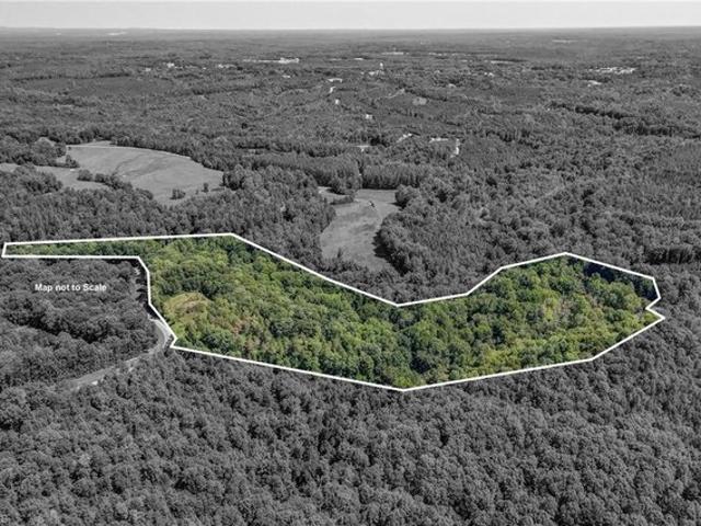 Land for sale in Blanch, North Carolina