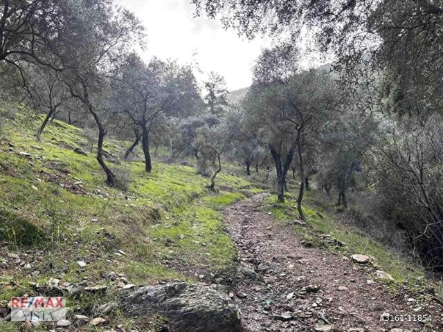 Milas, Muğla içerisinde satılık mülk