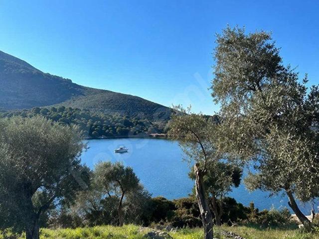 Milas, Muğla içerisinde satılık mülk