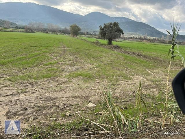 Milas, Muğla içerisinde satılık Arsa