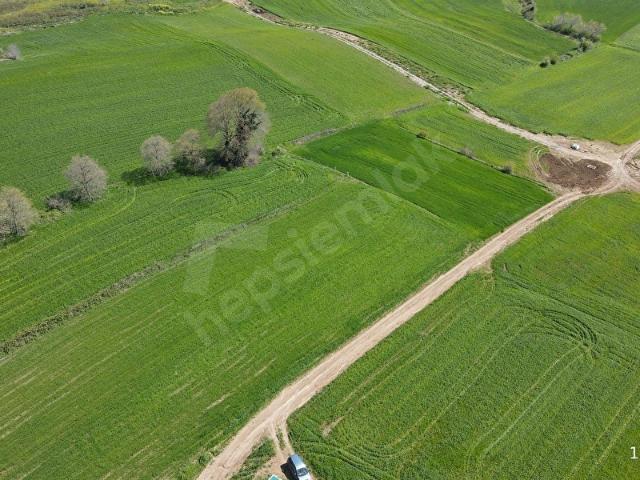 Bafra, Samsun içerisinde satılık Arsa