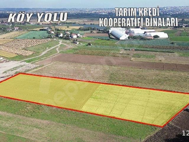 Bafra, Samsun içerisinde satılık Arsa