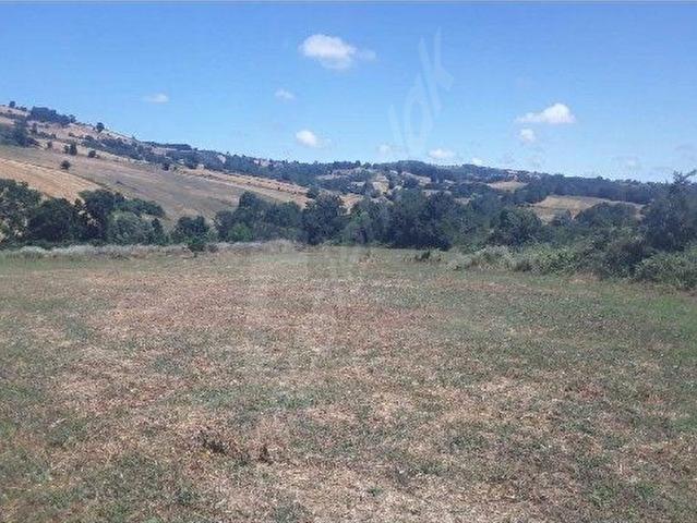 Bafra, Samsun içerisinde satılık Arsa