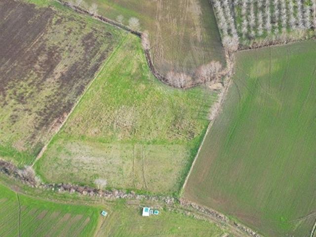Bafra, Samsun içerisinde satılık Arsa