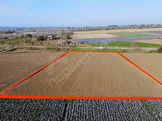 Bafra, Samsun içerisinde satılık Arsa