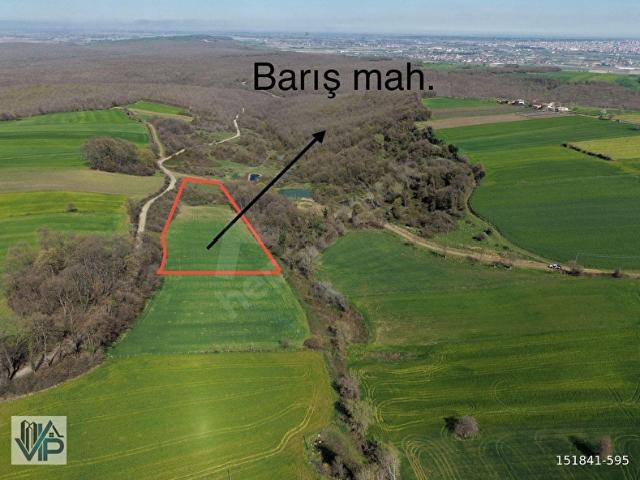 Bafra, Samsun içerisinde satılık Arsa