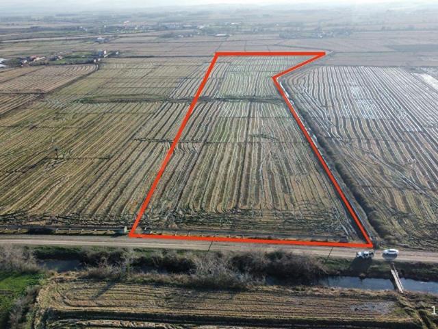 Bafra, Samsun içerisinde satılık Arsa
