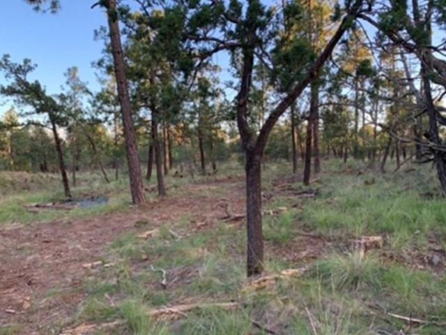 Land for sale in Timberon, New Mexico