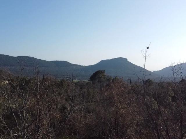 Terrain vente à Arrondissement de Draguignan, Bagnols-en-forêt