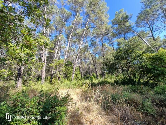 Terrain vente à Arrondissement de Draguignan, Bagnols-en-forêt