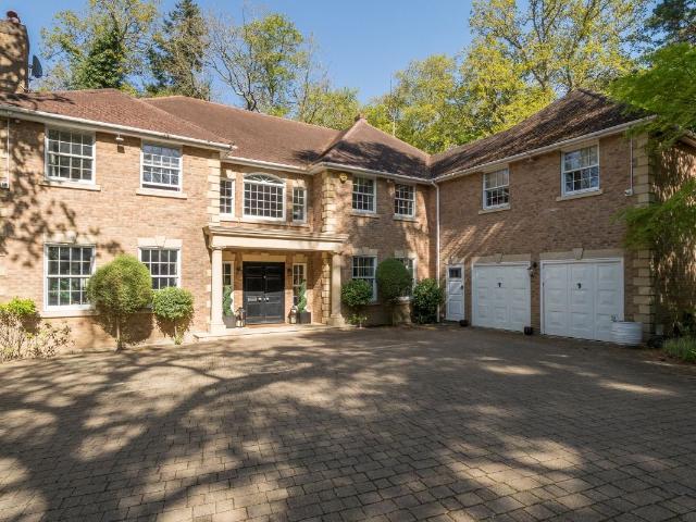 House for rent in Sunninghill and Ascot, Sunninghill