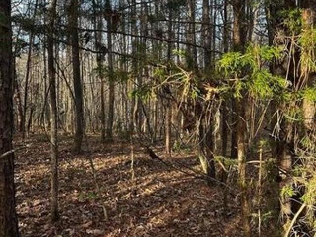 Land for sale in Virginia