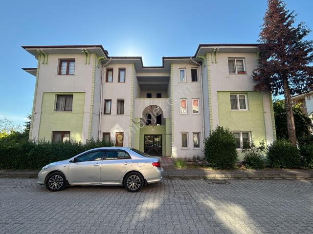 Düzce Merkez, Düzce içerisinde kiralık mülk