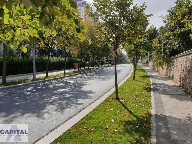 Başakşehir, İstanbul içerisinde satılık mülk