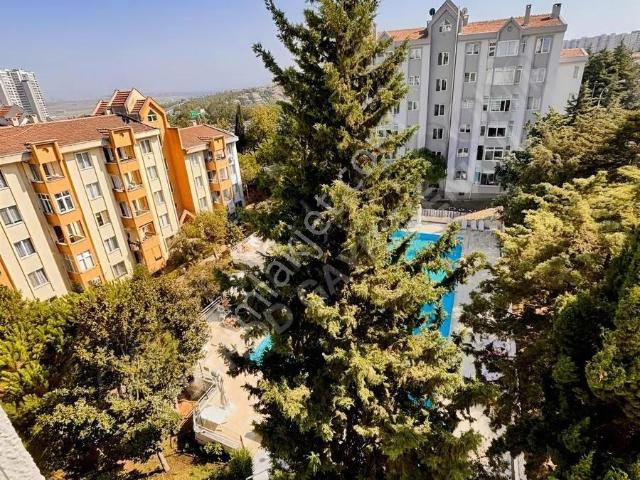 İstanbul içerisinde kiralık mülk
