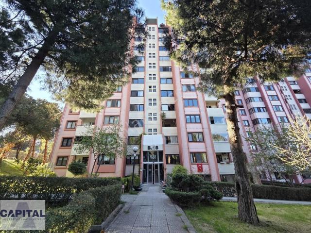 Başakşehir, İstanbul içerisinde kiralık mülk