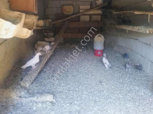 Kocasinan, Kayseri içerisinde satılık Villa