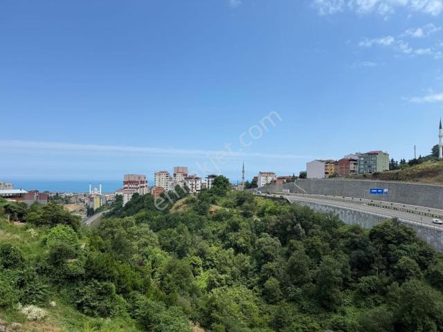 Trabzon içerisinde satılık mülk