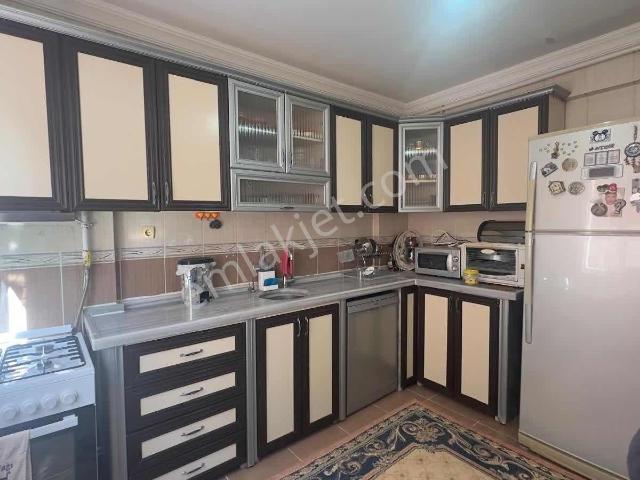 Siirt Merkez, Siirt içerisinde kiralık mülk