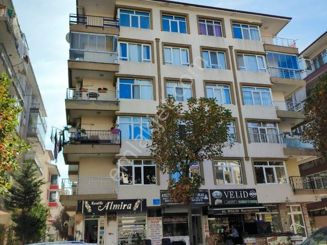 Yalova Merkez, Yalova içerisinde kiralık mülk