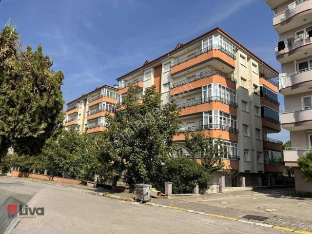 Balikesir içerisinde satılık mülk