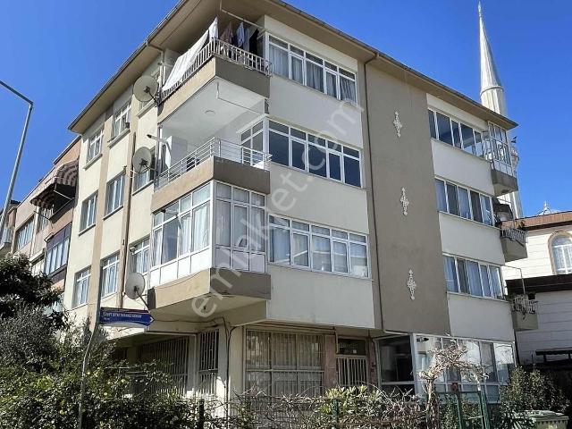 Yalova Merkez, Yalova içerisinde kiralık mülk