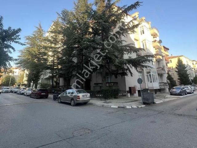 Çorum Merkez, Çorum içerisinde kiralık mülk