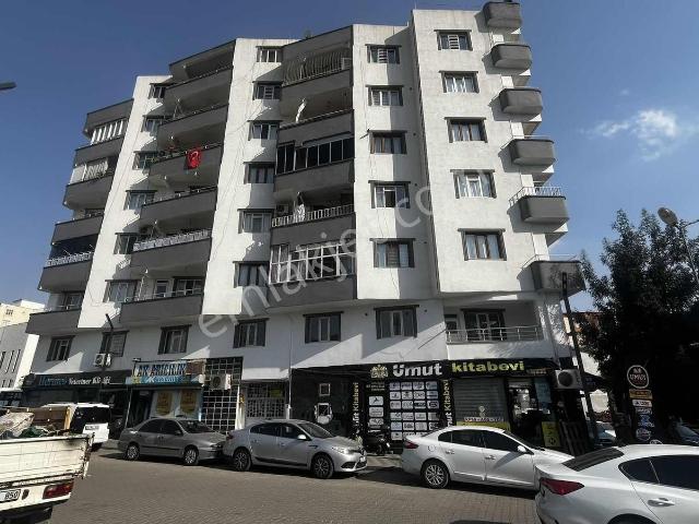 Siirt Merkez, Siirt içerisinde kiralık mülk