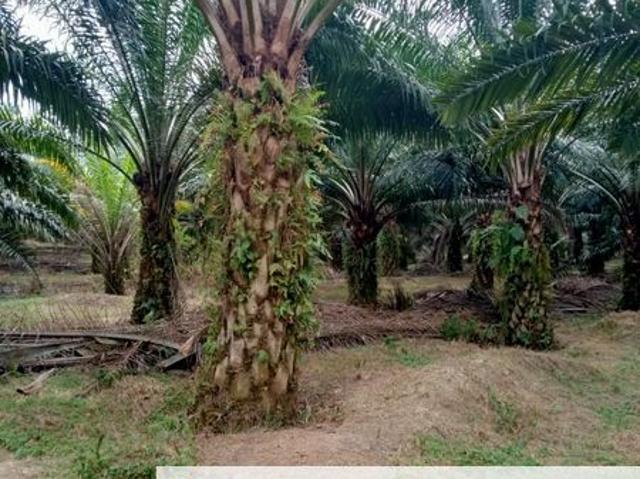 Shop for sale in Bahau, Negeri Sembilan