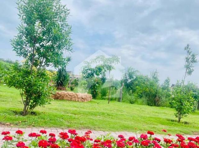 Property for sale in Islamabad