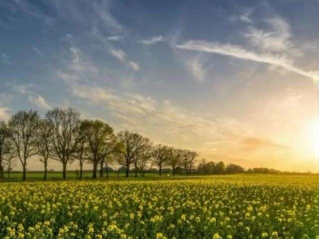 Land for sale in Rawalpindi, Islamabad Capital Territory