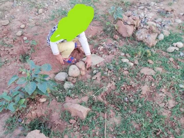 Land for sale in جی-10, اسلام آباد