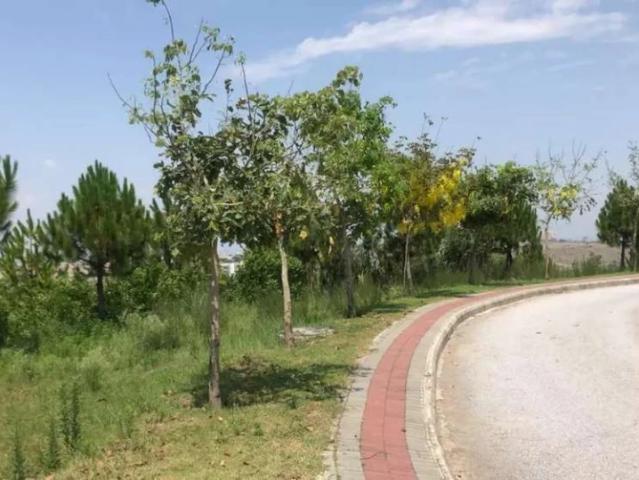 Land for sale in Rawalpindi, Islamabad Capital Territory