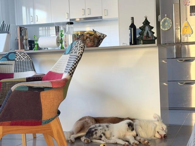 Room for rent in Toombul, Queensland