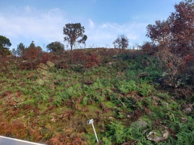 Terreno venda em Baião, Porto