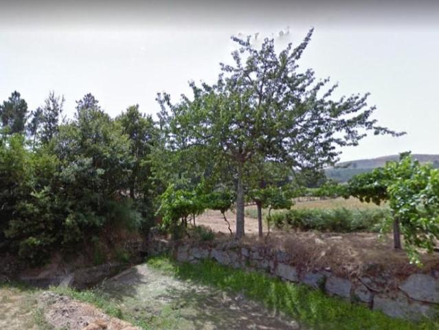 Terreno venda em Santa Leocádia, Baião