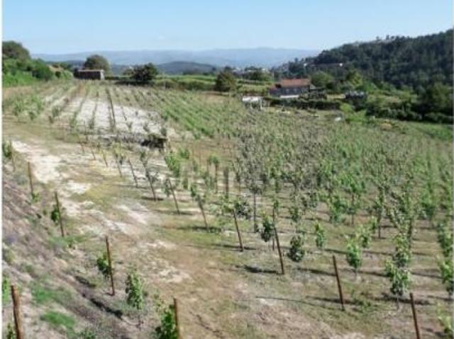 Terreno venda em Baião, Porto