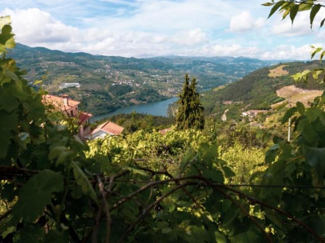 Terreno venda em Baião, Porto