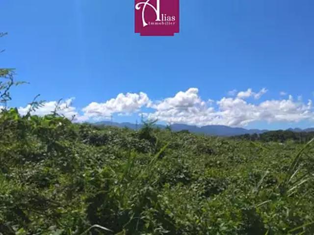 Terrain location à Guadeloupe