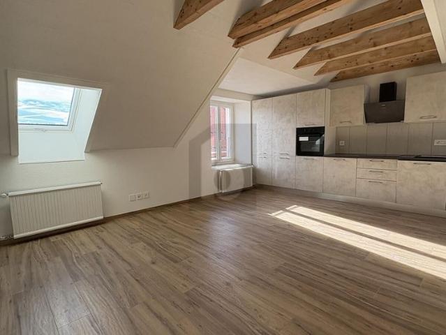 Haus mieten in La Chaux-de-Fonds