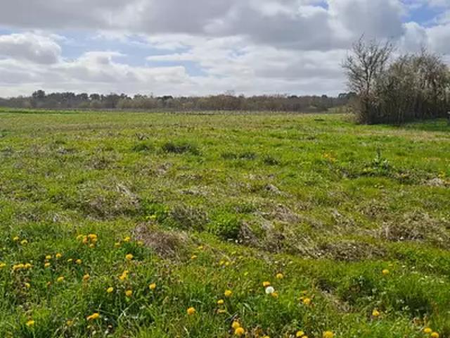 Terrain vente à Langon, Baigneaux